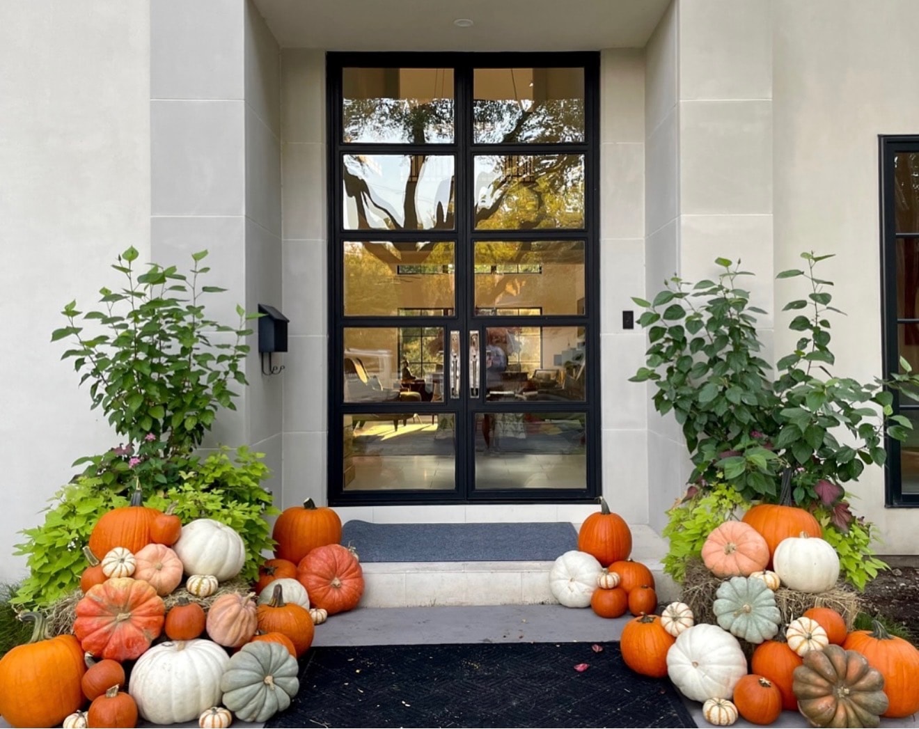 Porches & Pumpkins Co. Instagram post 1
